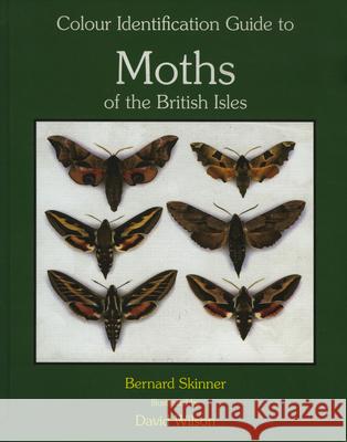 Colour Identification Guide to the Moths of the British Isles: Macrolepidoptera. 3rd Revised Edition Skinner 9788788757903