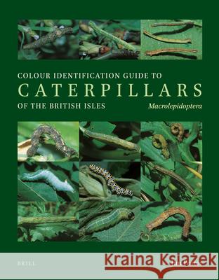 Colour Identification Guide to Caterpillars of the British Isles. Macrolepidoptera  9788788757958 Apollo Books