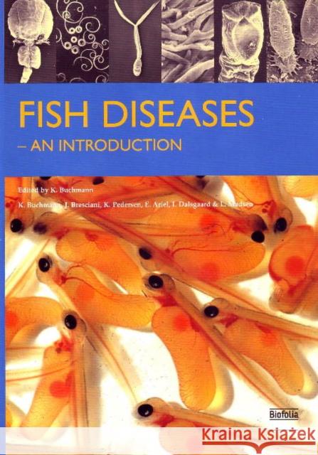 Fish Diseases: An Introduction K Buchmann 9788791319433 Biofolia