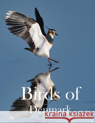 Birds of Denmark Dirk Kotze Suzette O'Connell 9788797512197 Dirk Corneulius Kotze