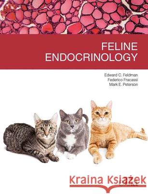 Feline endocrinology Mark E Peterson 9788821448379 CBL DISTRIBUTION LIMITED