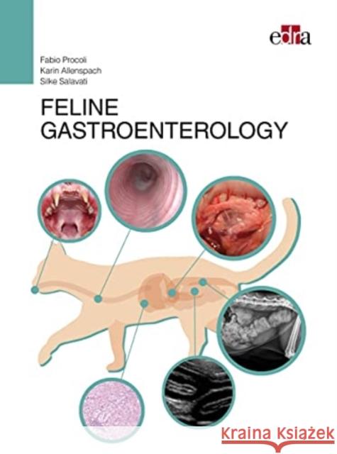 FELINE GASTROENTEROLOGY Silke Salavati 9788821452338 Edra Spa