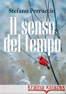 Il senso del tempo Stefano Perruccio 9788831625302 Youcanprint