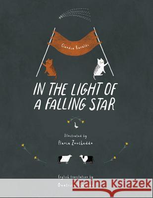 In the light of a falling star Flavia Zuncheddu Beatrice Sheehan Claudia Ravaldi 9788832242072 Ciaolapo Ed.