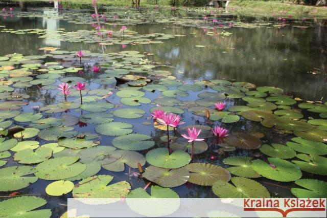 Gardens of Sri Lanka: 2000 Years of Landscape Architecture Tradition Senake Bandaranayake 9788836659555 Silvana Editoriale