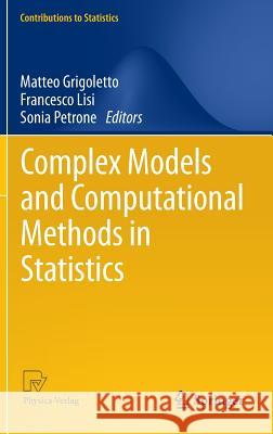 Complex Models and Computational Methods in Statistics Matteo Grigoletto Francesco Lisi Sonia Petrone 9788847028708