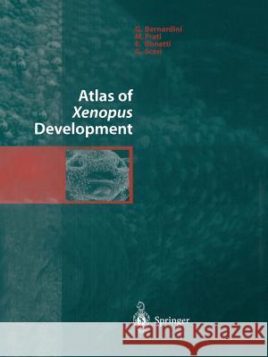 Atlas of Xenopus Development G. Bernardini M. Prati E. Bonetti 9788847029071 Springer Verlag