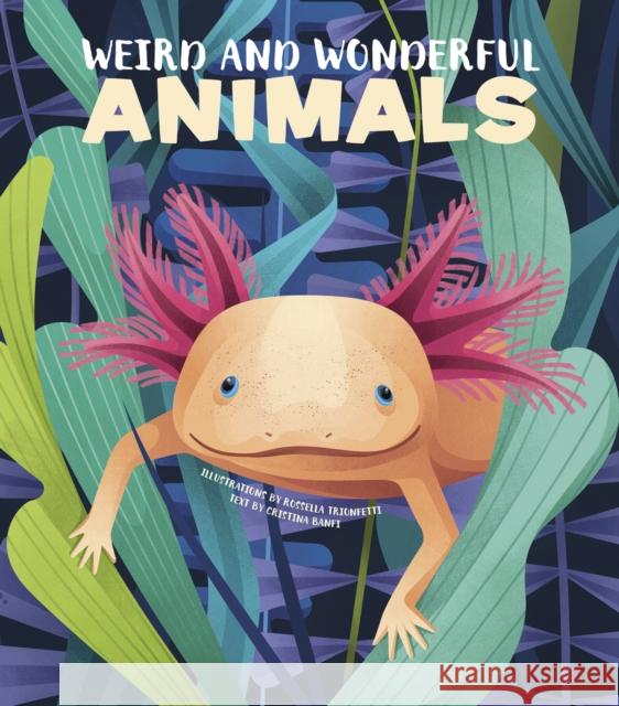 Weird and Wonderful Animals Cristina Banfi Rossella Trionfetti 9788854415270