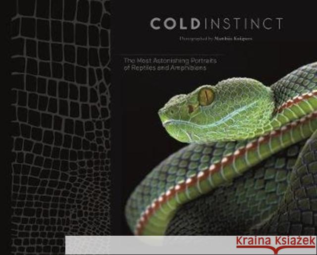 Cold Instinct Matthijs Kuijpers 9788857242590