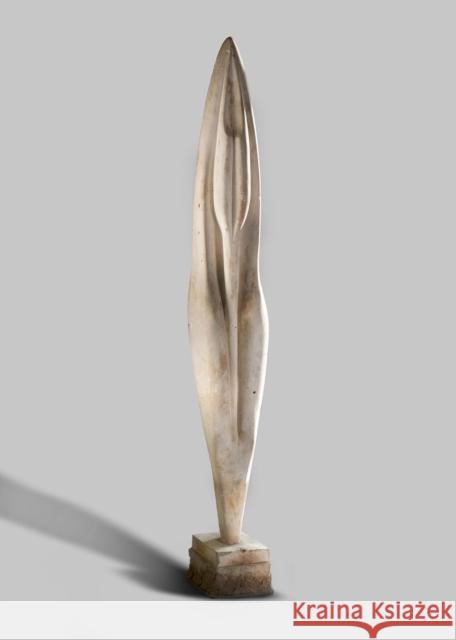 The Henraux Collection  9788857248462 Skira