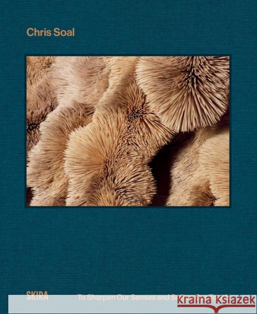 Chris Soal: To Sharpen our Senses and Soften our Touch  9788857253541 Skira