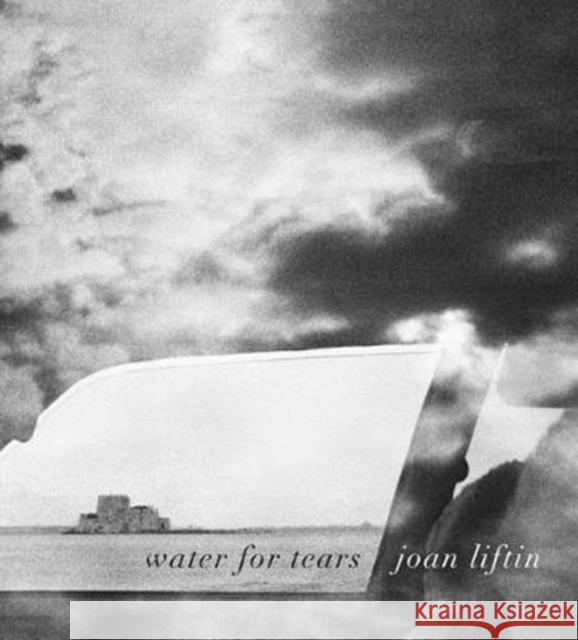 Joan Liftin: Water for Tears Joan Liftin 9788862085960 Damiani