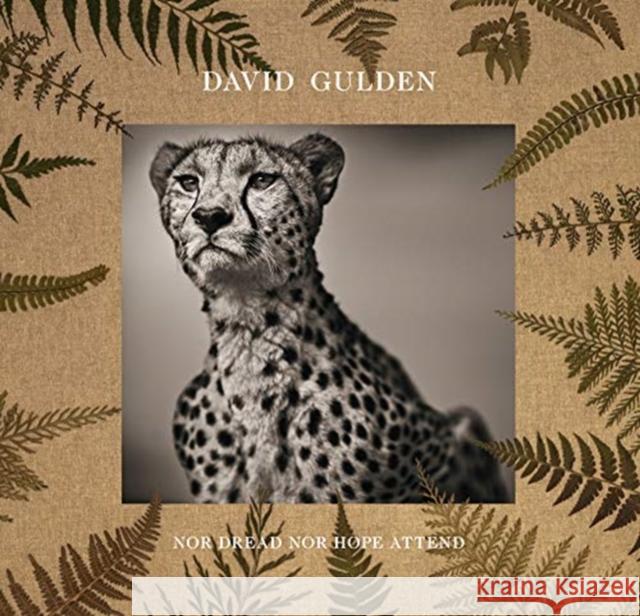 David Gulden: Nor Dread Nor Hope Attend: Photographs from the Plains of Africa David Gulden 9788862087193 Damiani Ltd
