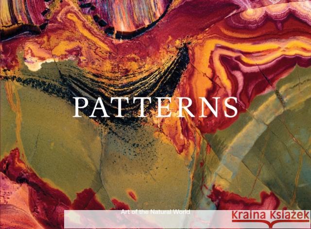 Jon McCormack: Patterns. Art of the Natural World  9788862088572 Damiani