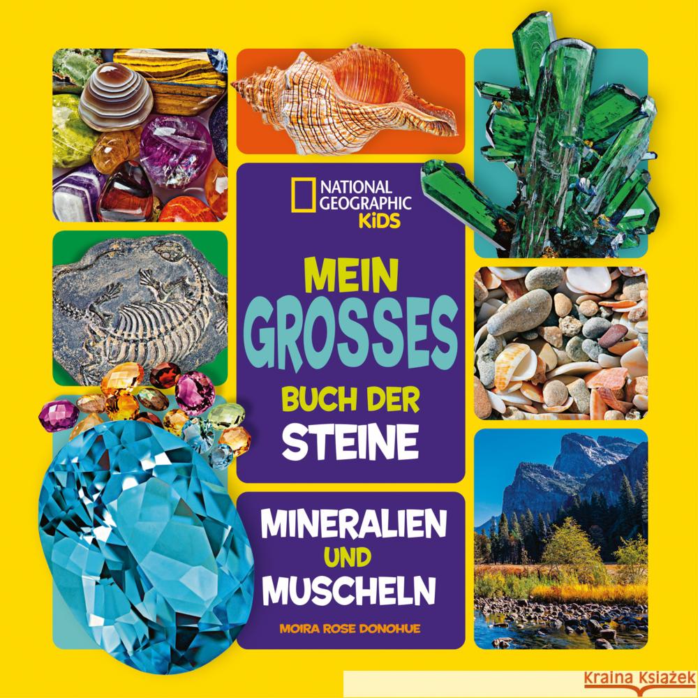 Mein großes Buch der Steine, Mineralien und Muscheln Donohue, Moira Rose 9788863125139