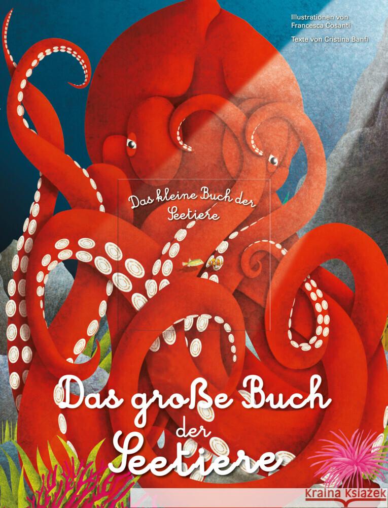 Das grobetae Buch der Seetiere. Das kleine Buch der Seetiere Banfi, Cristina 9788863125818 White Star