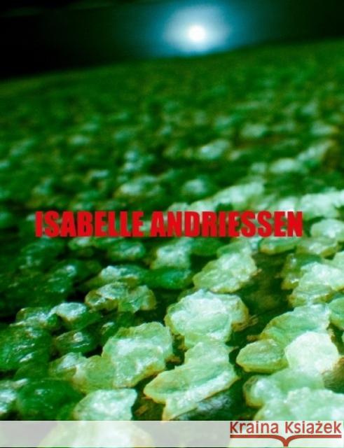 DORM Isabelle Andriessen 9788867495085 Mousse Publishing