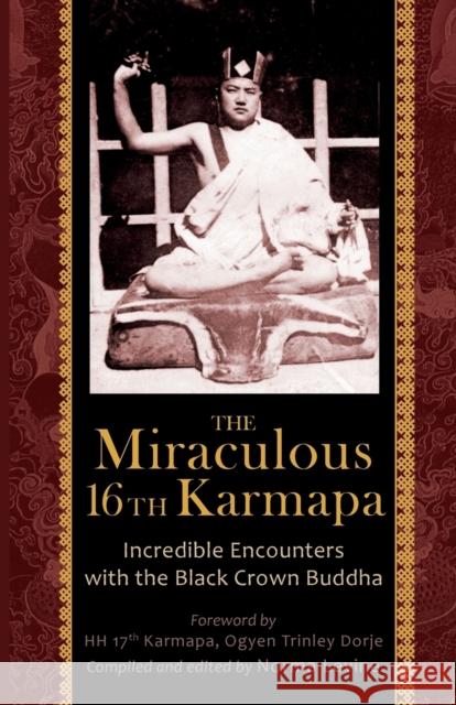 The Miraculous 16th Karmapa Naomi Levine 9788878341333 Istituto Shang Shung