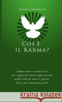 Cos'è il Karma? Fausto Carotenuto 9788886860420 Il Ternario