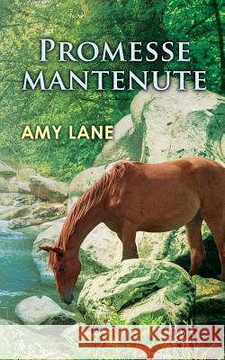 Promesse Mantenute Amy Lane Emanuela Graziani 9788893122368 Triskell Edizioni - Dreamspinner Press - Spec