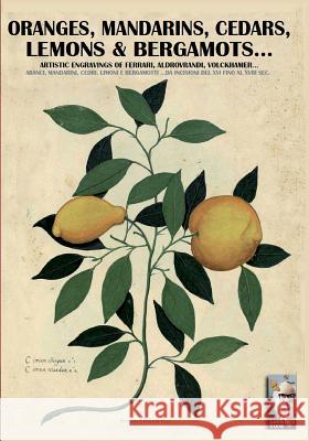 Oranges, mandarins, cedars, lemons & bergamots..: Artistic engravings of Ferrari, Aldrovrandi, Volckhamer... Cristini, Luca Stefano 9788893270830 Soldiershop