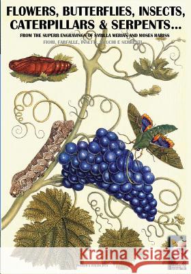 flowers, butterflies, insects, caterpillars & serpents...: From Sybilla Merian & Moses Hariss XVII-XVIII Centuries engravings Cristini, Luca Stefano 9788893270847