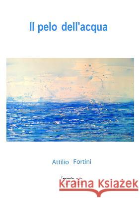 Il pelo dell'acqua Attilio Fortini 9788898894055 Temperino Rosso Edizioni