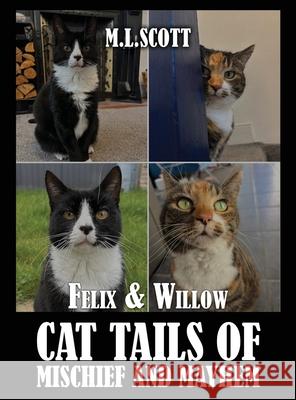 Felix & Willow cat tails of mischief and mayhem M. L. Scott 9788997616909 Finest Book Publishers