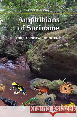 Amphibians of Suriname Paul E. Ouboter, Rawien Jairam 9789004207998 Brill