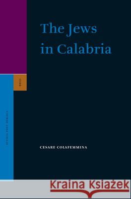 The Jews in Calabria Cesare Colafemmina 9789004233744 Brill Academic Publishers