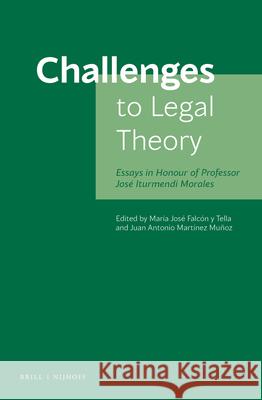 Challenges to Legal Theory: Essays in Honour of Professor José Iturmendi Morales Falcón Y. Tella, María José 9789004439443