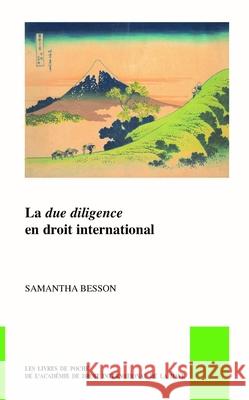 La Due Diligence En Droit International Samantha Besson 9789004466265