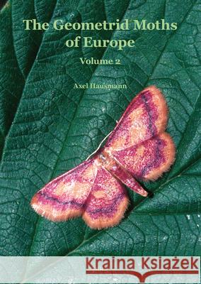 Sterrhinae Axel Hausmann 9789004499430 Brill