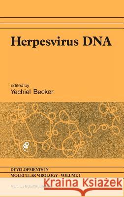 Herpesvirus DNA: Recent Studies on the Organization of Viral Genomes, Mrna Transcription, DNA Replication, Defective Dna, and Viral DNA Becker, Yechiel 9789024725120
