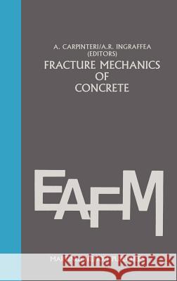 Fracture Mechanics of Concrete: Material Characterization and Testing: Material Characterization and Testing Carpinteri, Alberto 9789024729593 Springer