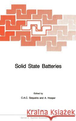 Solid State Batteries A. Hooper C. A. C. Sequeira Cesar A. Sequeira 9789024732364