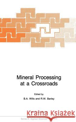 Mineral Processing at a Crossroads: Problems and Prospects Wills, B. a. 9789024734108 Nijhoff