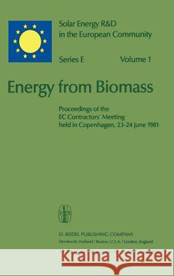 Energy from Biomass: Proceedings of the EC Contractors' Meeting Held in Copenhagen, 23-24 June 1981 Chartier, P. 9789027713483 Commission of European Communities