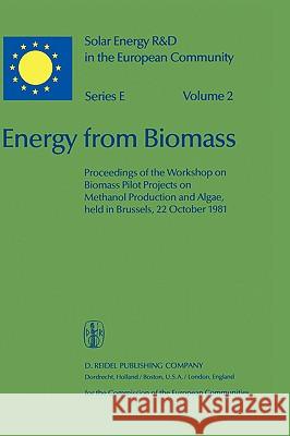 Energy from Biomass Willeke Palz D. Pirrwitz 9789027717009 Springer