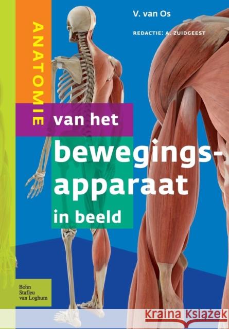 Anatomie Van Het Bewegingsapparaat in Beeld V. Va A. Zuidgeest 9789031389131