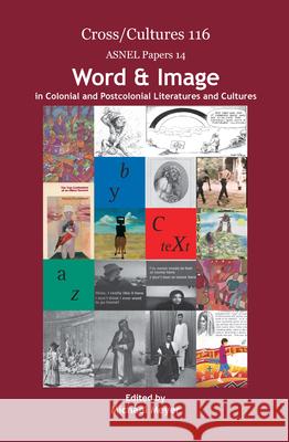Word & Image in Colonial and Postcolonial Literatures and Cultures Michael Meyer 9789042027435