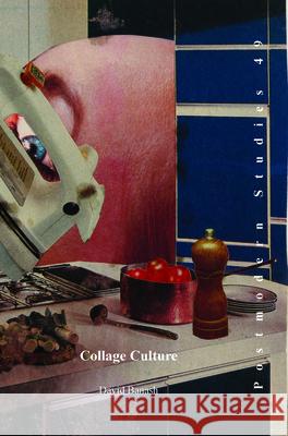 Collage Culture: Readymades, Meaning, and the Age of Consumption David Banash 9789042036819 Rodopi
