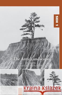 The Anti-Landscape David E. Nye Sarah Elkind 9789042038868 Rodopi