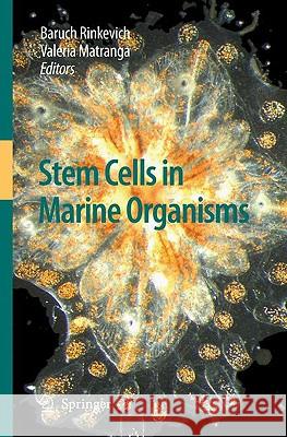Stem Cells in Marine Organisms Baruch Rinkevich Valeria Matranga 9789048127665 Springer