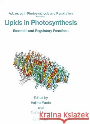 Lipids in Photosynthesis: Essential and Regulatory Functions Wada, Hajime 9789048128624 Springer