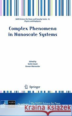 Complex Phenomena in Nanoscale Systems Giulio Casati Davron Matrasulov 9789048131181