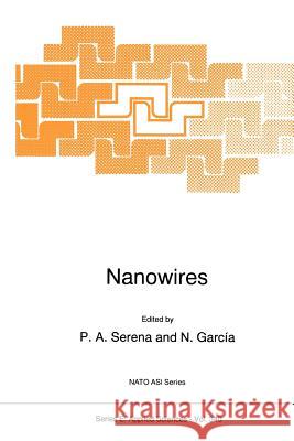 Nanowires P. a. Serena N. Garcia N. Gar 9789048148738 Springer