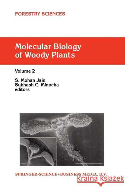 Molecular Biology of Woody Plants: Volume 2 Jain, S. M. 9789048154272 Not Avail