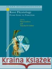 Root Physiology: From Gene to Function Lambers, Hans 9789048170418 Not Avail