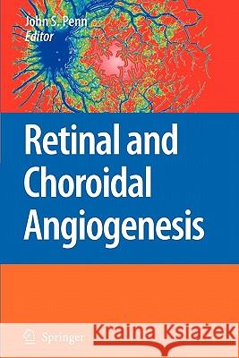 Retinal and Choroidal Angiogenesis John Penn 9789048177240